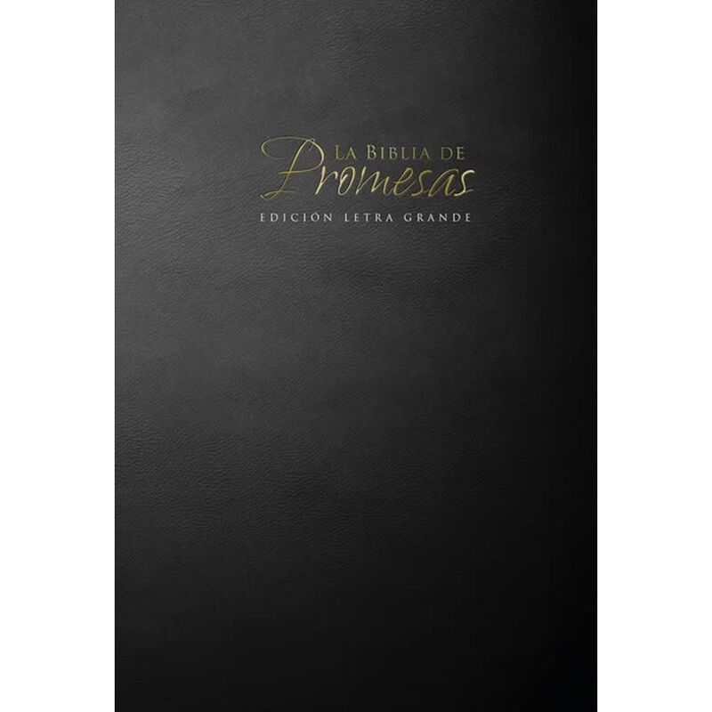 Santa Biblia, biblia de promesas image number null