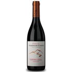 Vino Tinto Zorzal Terroir &Uacute;nico Cabernet Franc 750ml