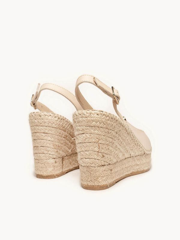 Clavel Cu&ntilde;a Alta Napa Arena image number null