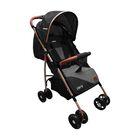 Carriola Park Ligera Y Plegable