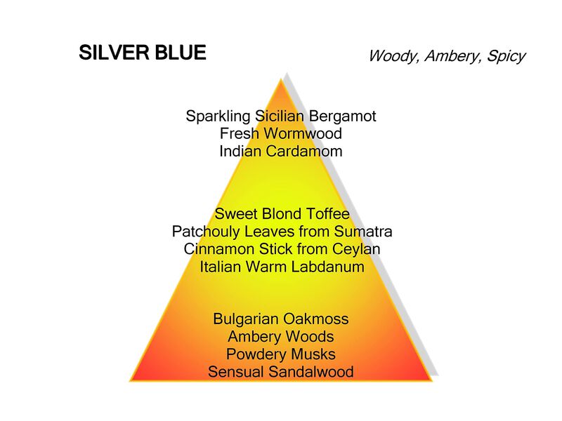 Perfume Mancera Silver Blue Eau De Parfum 120 M... image number null