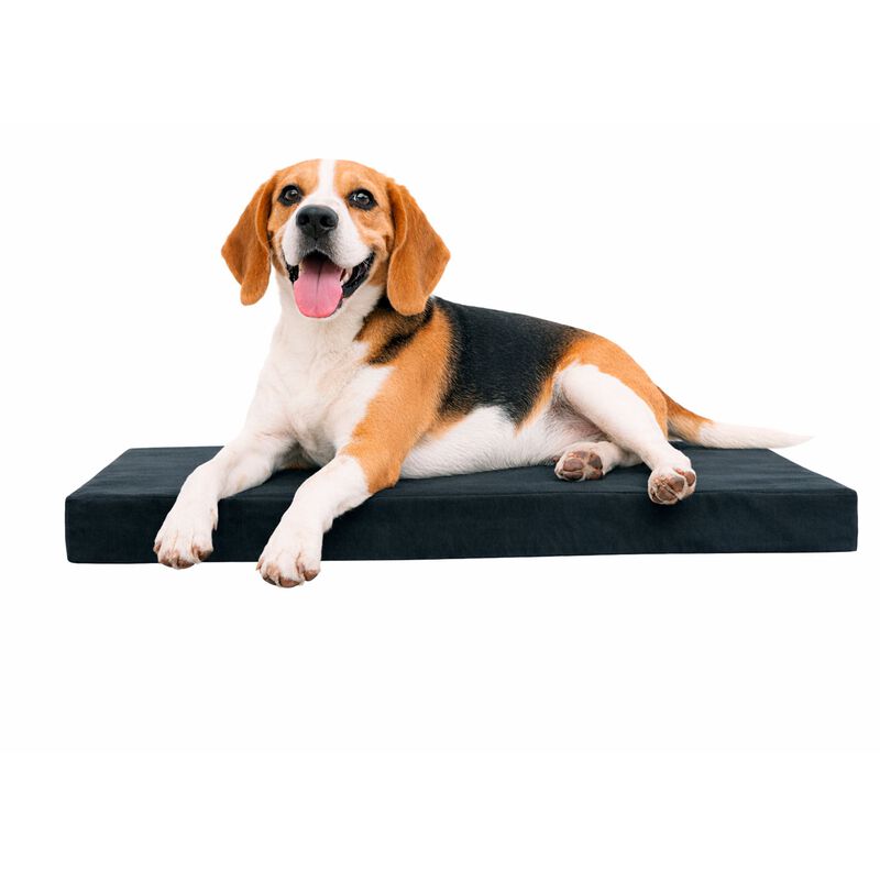 Cama Para Mascota M De Pvc Con Dise&ntilde;o Pr&aacute;ctico ... image number null