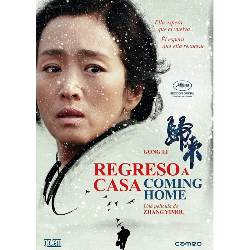 Regreso a casa [DVD] 2014 Gui lai image number null