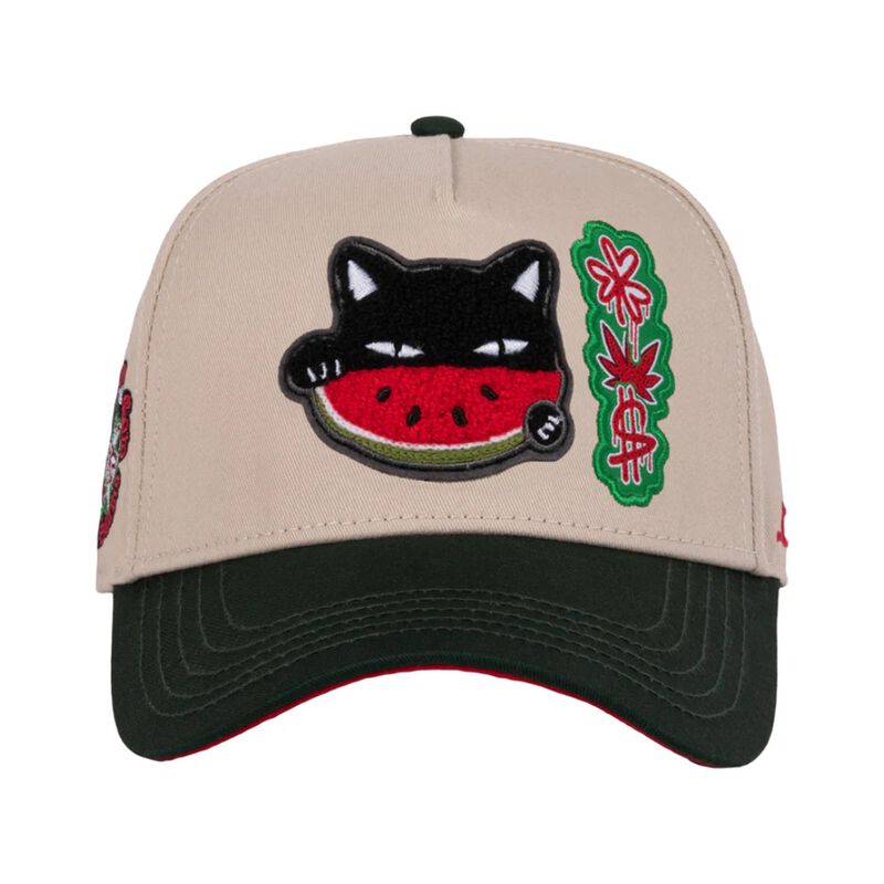 Gorra Jc Hats Watermelon Cat 002870 image number null