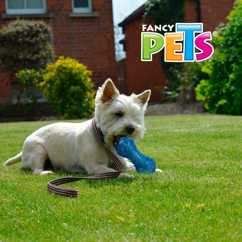 Fancy Pets Juguete Pesa Flexible para Perro con... image number null