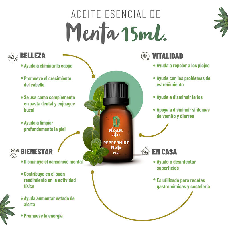 Aceite Esencial Puro Menta 15 ml 100% Puro y Or... image number null