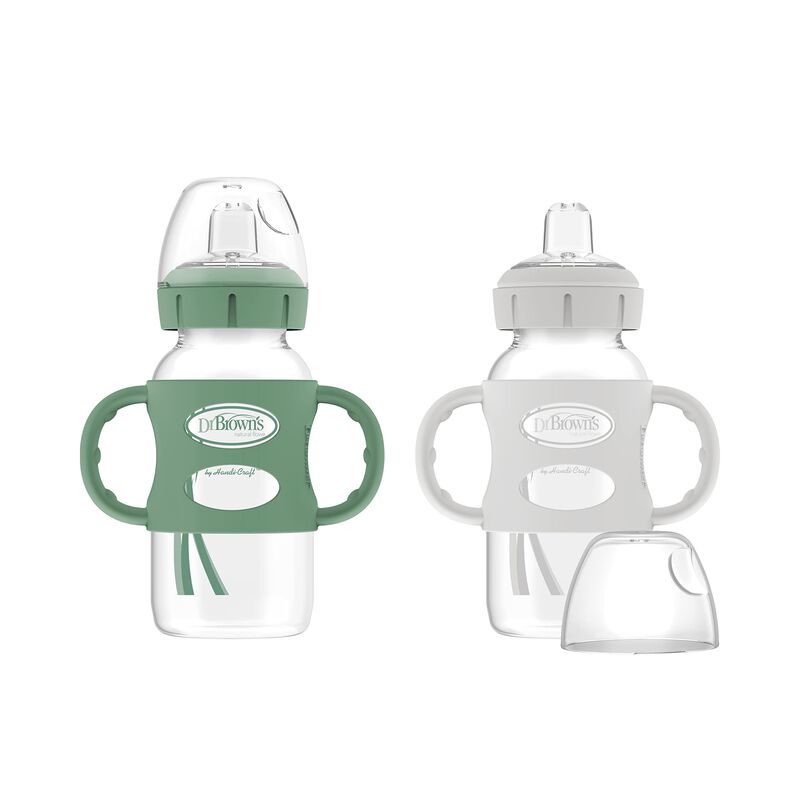 Botella Sippy Spout Dr. Brown's Milestones, 270... image number null