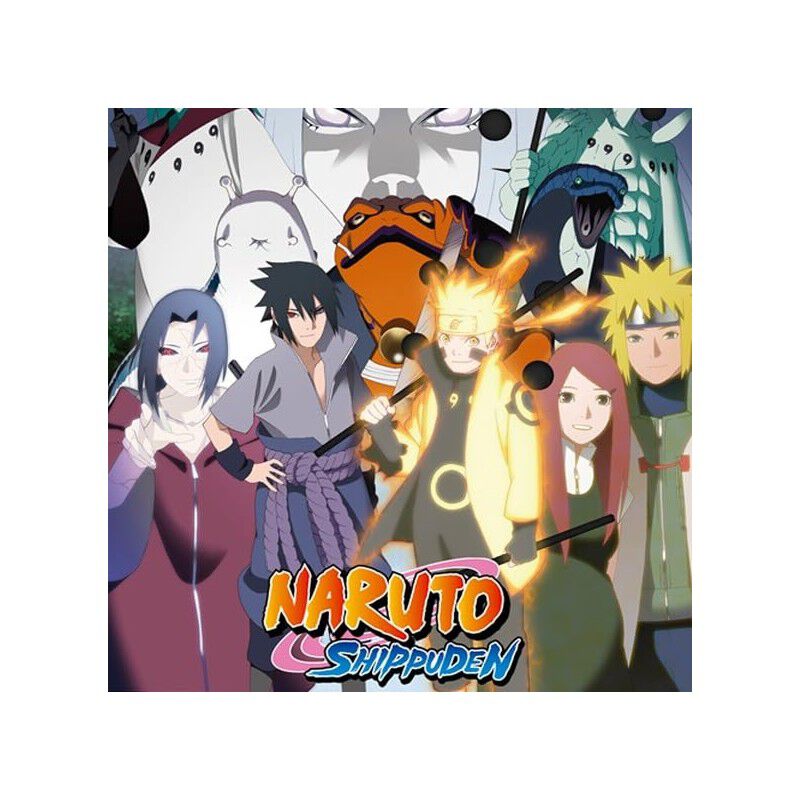 Naruto: Shipp&ucirc;den (caja 17 Dvd 424 A 46, 38 Epi... image number null