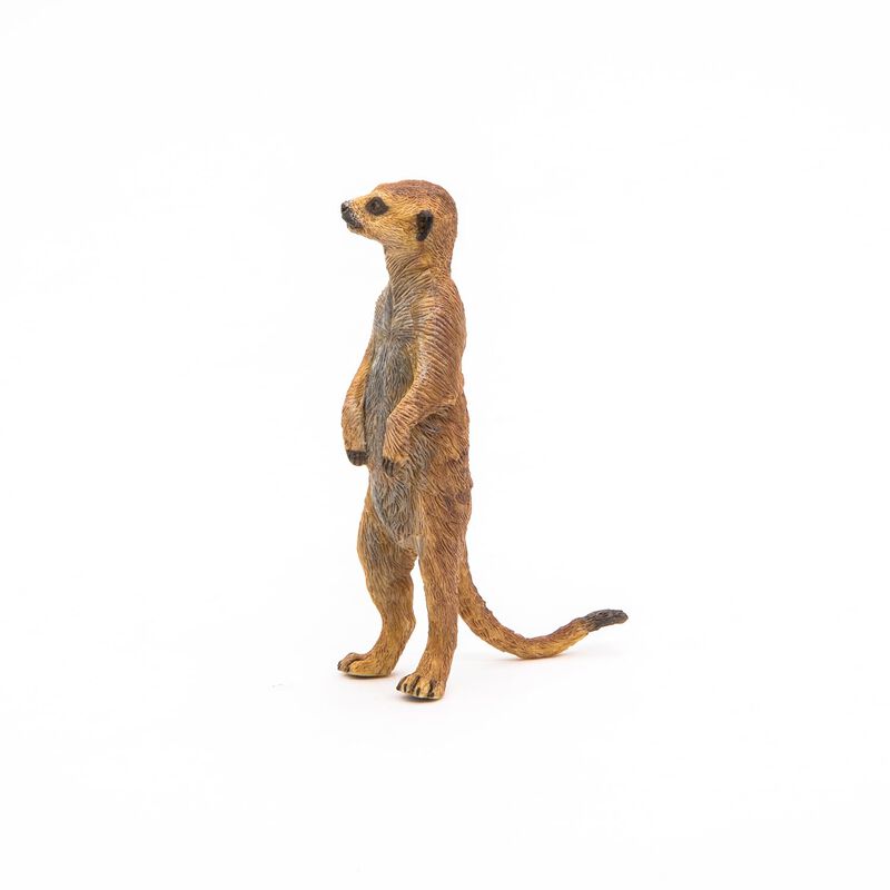 Figura Papo Wild Animal Kingdom Standing Meerka... image number null