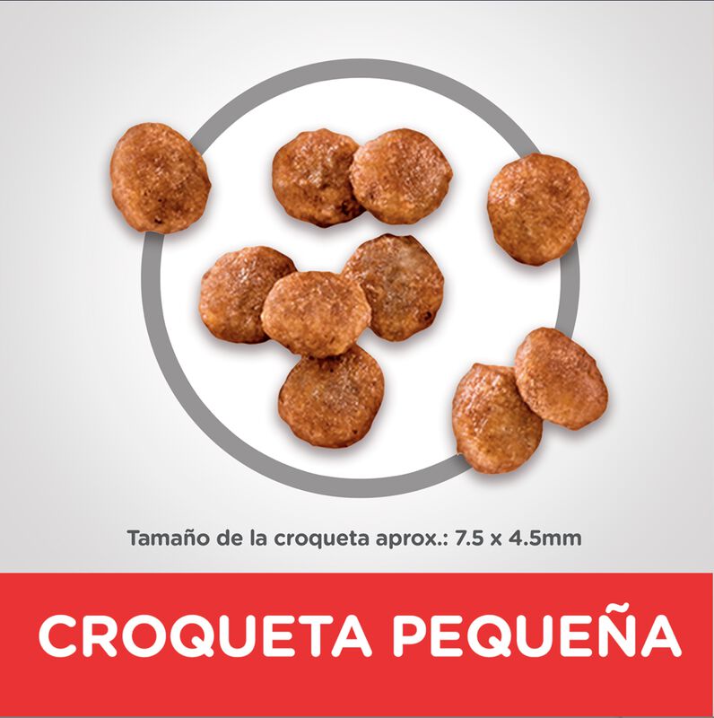 Hill's Canino Adult Small 2 Kg Original Sellado image number null