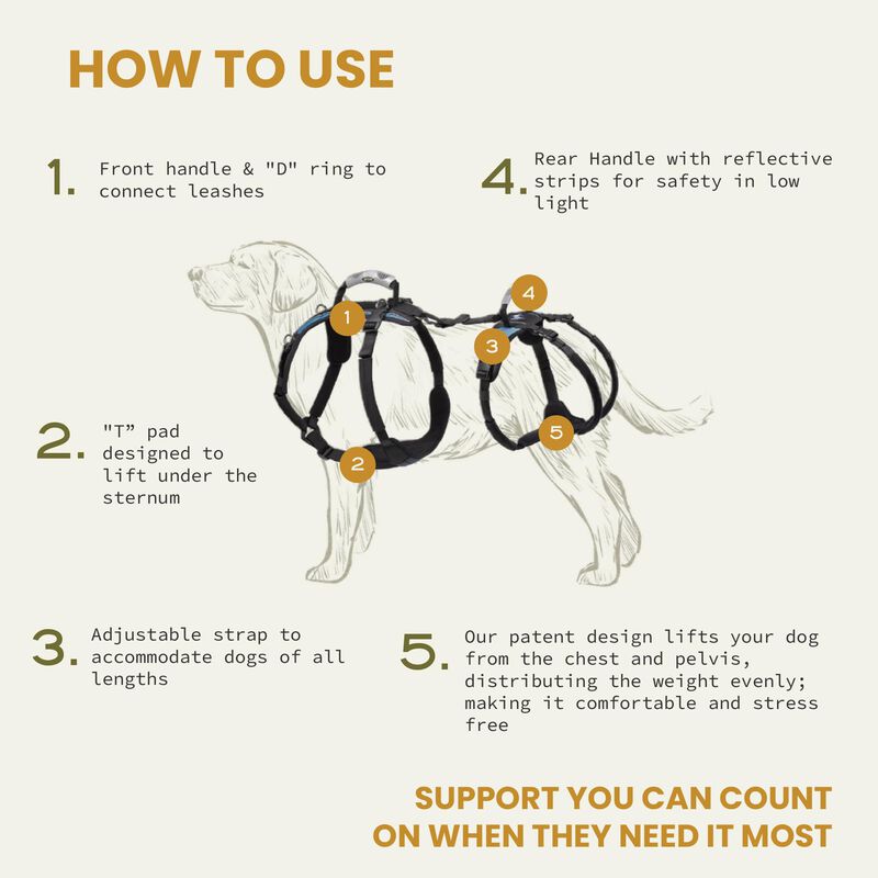 Arn&eacute;s Para Perro Help 'em Up Xs 4.5‑11 kg Con S... image number null