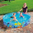 Alberca Rígida Redonda Decorada Mar 1 Modelo 1.83X38cm 72X15Pulg Caja 1