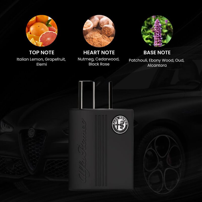 Perfume Alfa Romeo Black Edt 125ml Para Hombre image number null
