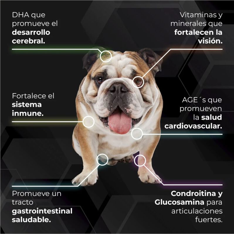 Proseries Mantenimiento Perro Adulto12.9 Kg image number null