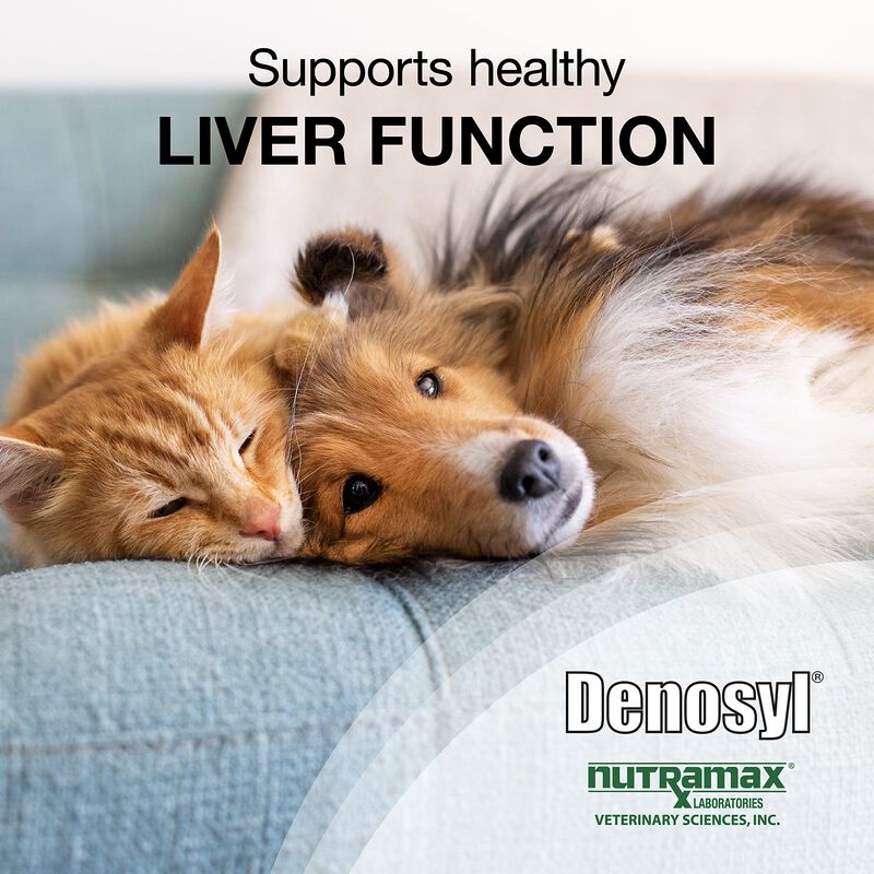 Suplemento Nutramax Denosyl Para La Salud Del H... image number null