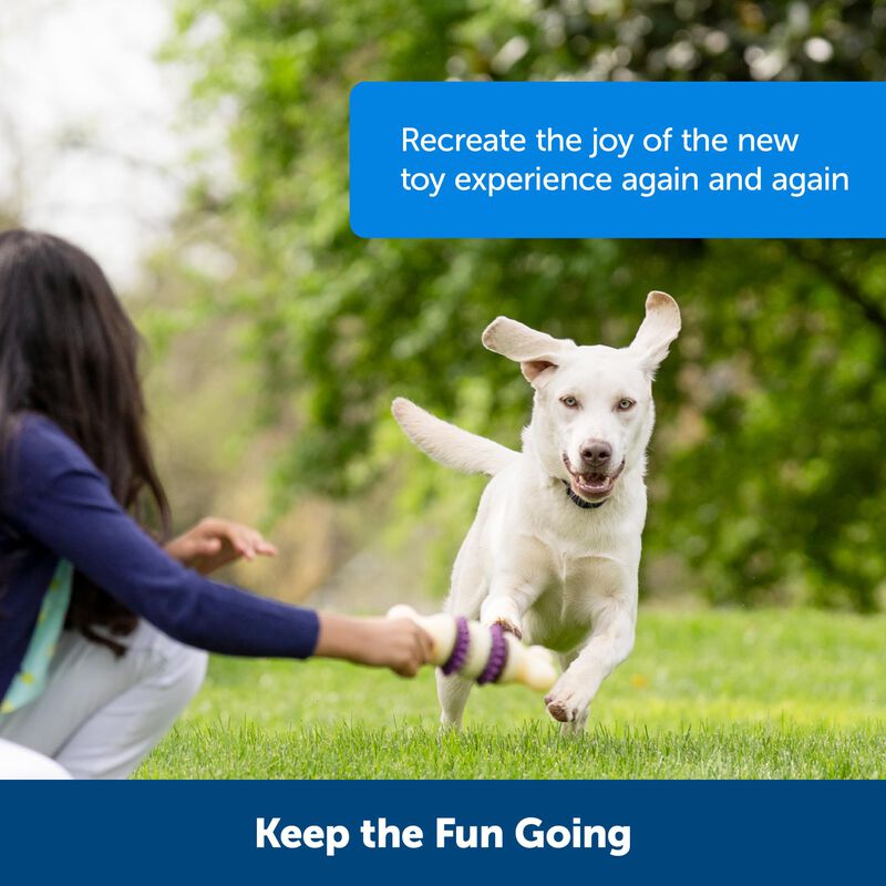 Treat Rings For Busy Buddy Dog Toys Petsafe 60 ... image number null