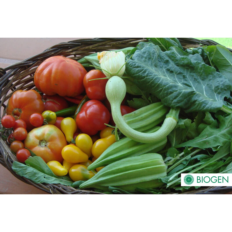 Fertilizante Orgánico Biogen 1 Litro image number null