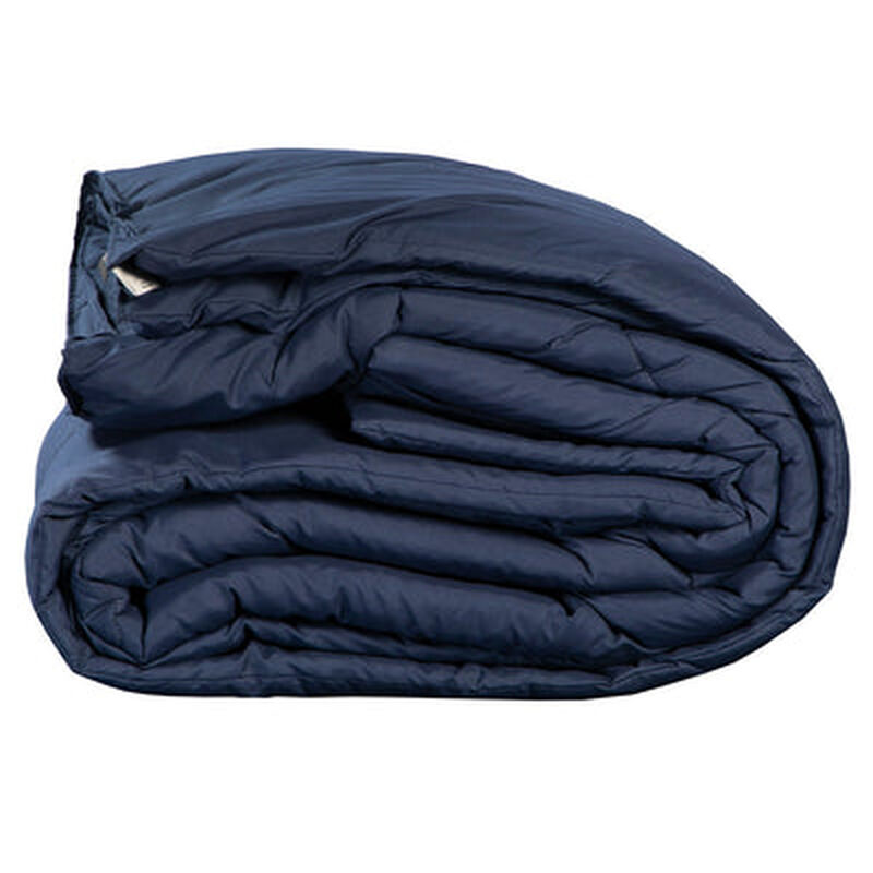 Edred&oacute;n de una vista Homy Individual DICASA Azu... image number null