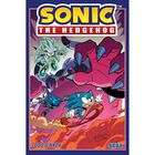 Sonic The Hedgehog Todo o Nada 7B