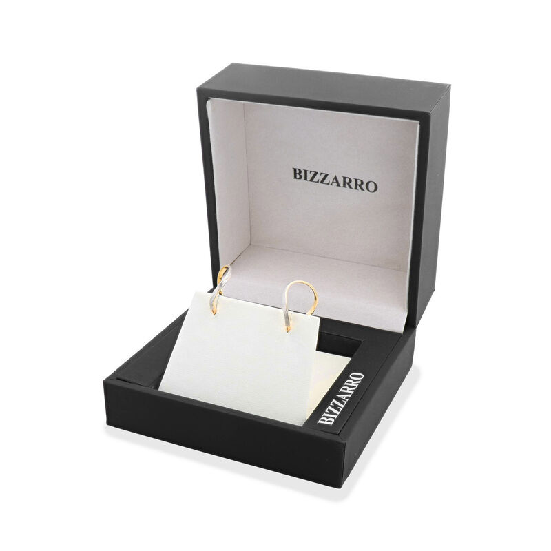 Arracadas Oro 10k Platinado Mate | Bizzarro image number null