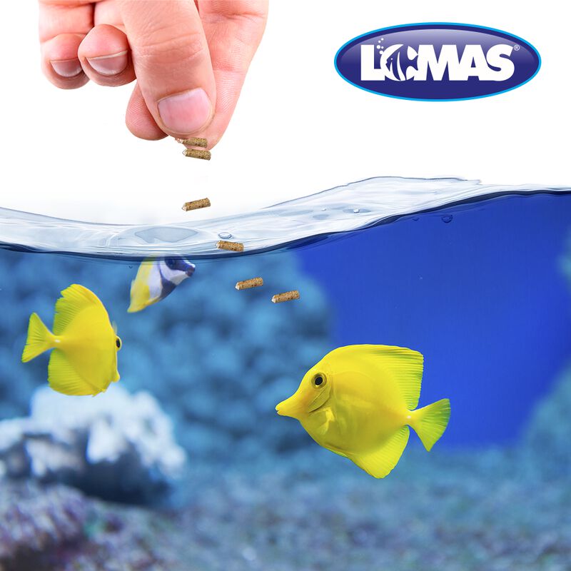 Lomas Mini Pellets Alimento Para Peces Tropical... image number null