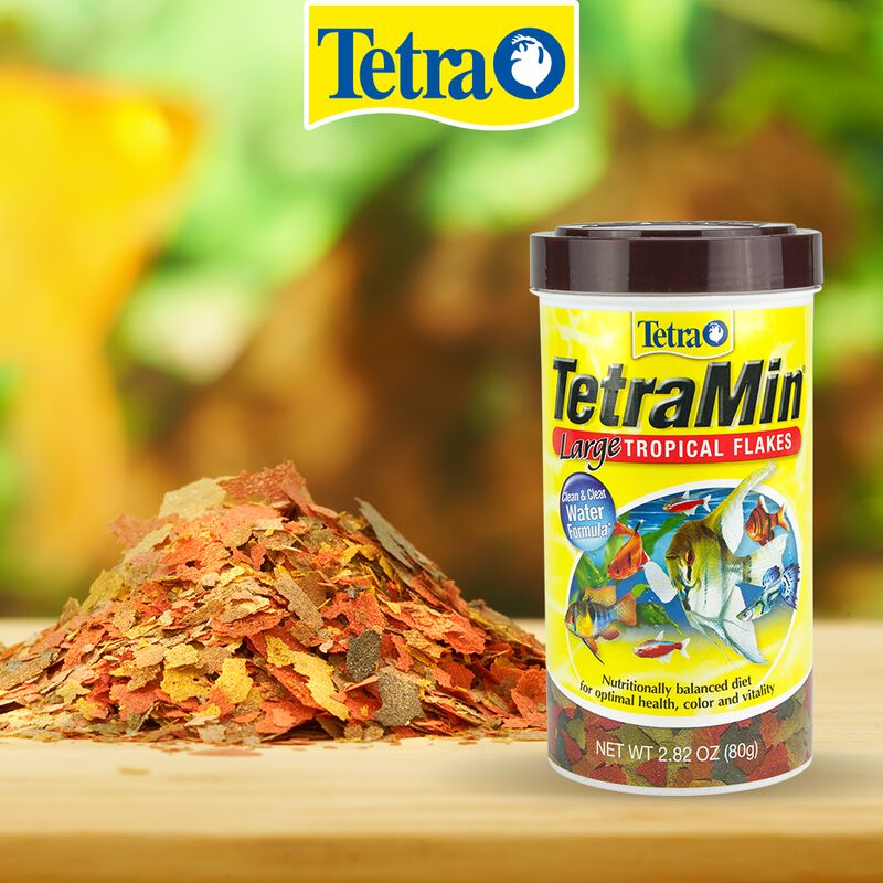 Tetra Alimento Tetramin Flakes Para Peces Con 8... image number null
