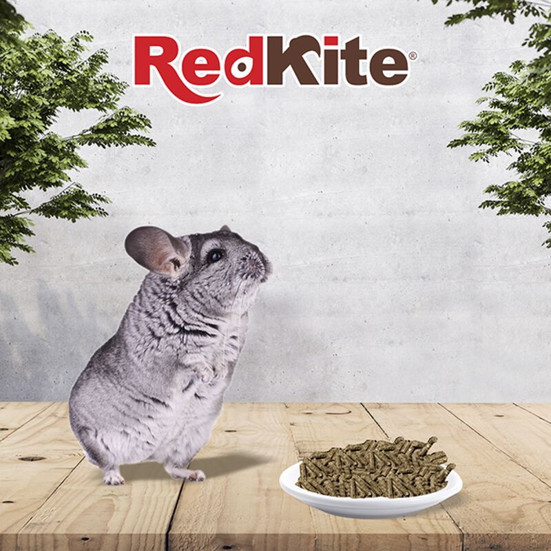 Redkite Alimento Para Chinchilla 1 Kg image number null