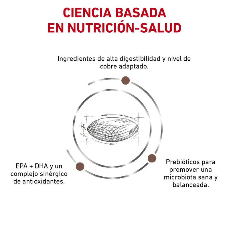 Royal Canin Hepatic Dog 12 Kg Original Sellado image number null