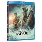 La llamada de lo salvaje [Blu-ray]