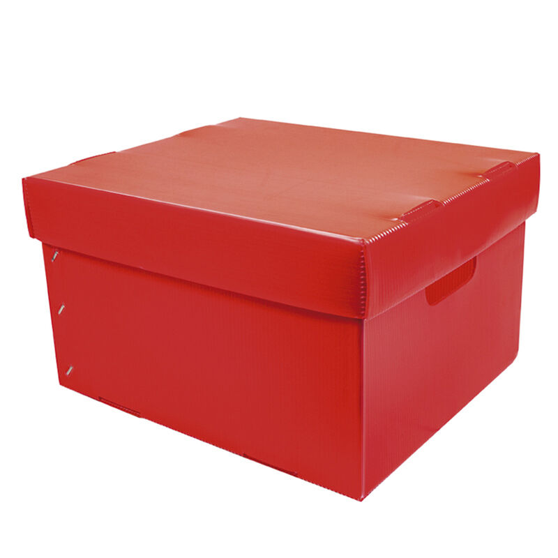 Caja de Pl&aacute;stico Corrugado para Empaque 30x25x1... image number null