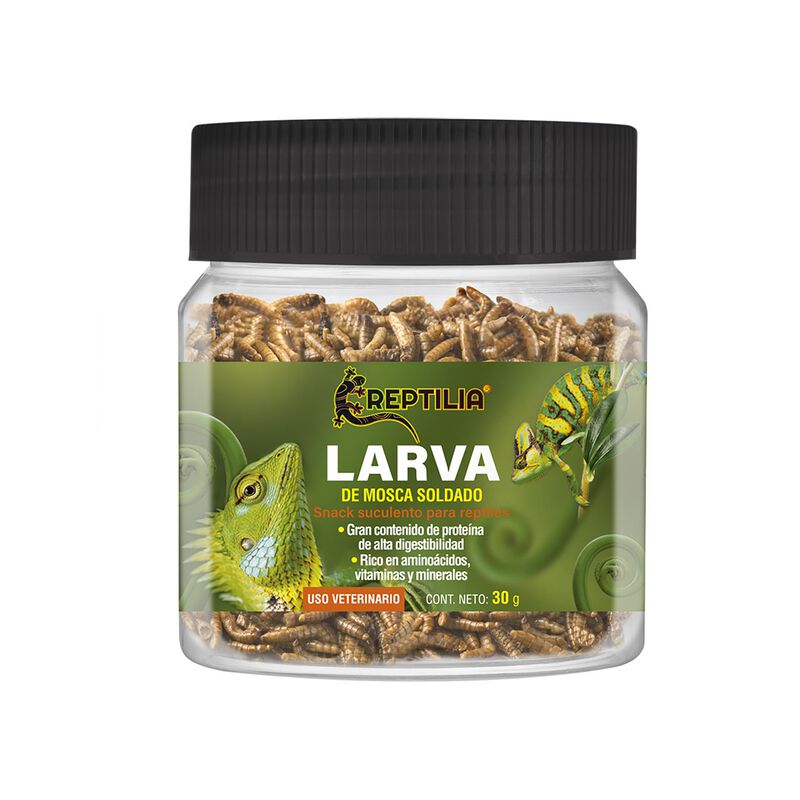 Reptilia Snack Larva de Mosca Soldado Con Gran ... image number null