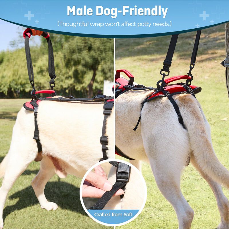 Arn&eacute;s Para Perro Lafoty M Rojo De Soporte De El... image number null