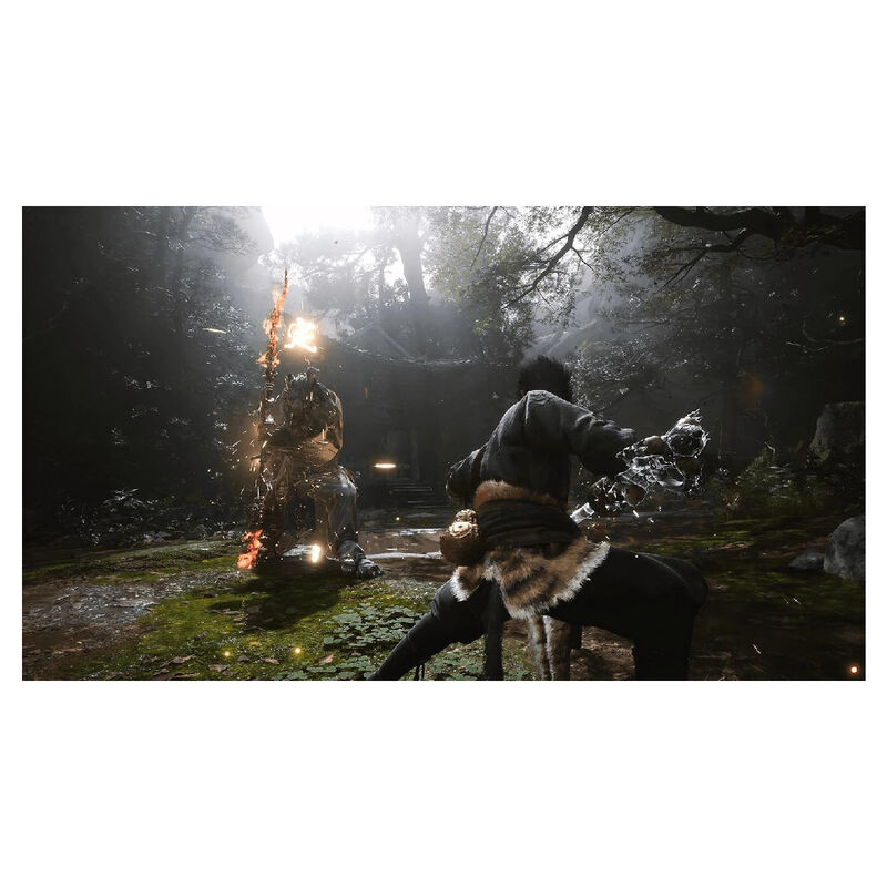 PS5 Juego Black Myth Wukong image number null