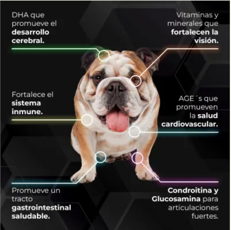 Proseries Cachorros Y Hembras Gestantes2.72 Kg image number null
