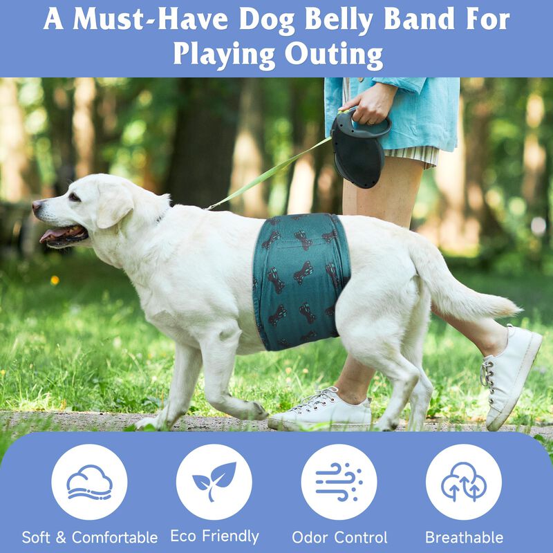 Pa&ntilde;ales Para Perro Grecle Masculino Xs &ndash; Pack D... image number null