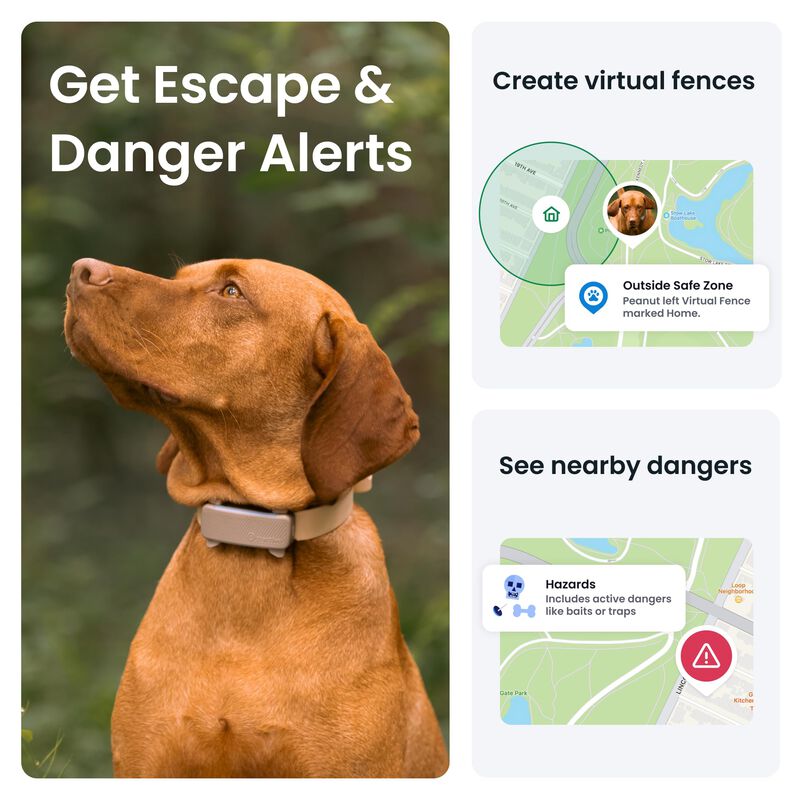 Rastreador Gps Para Perros Tractive 2025, Versi... image number null
