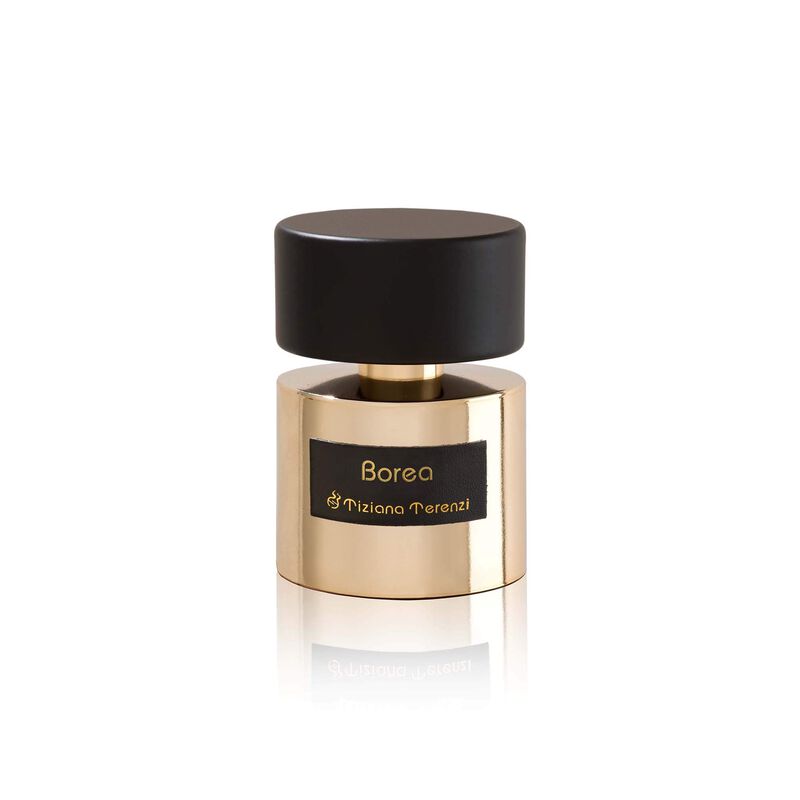 Perfume Tiziana Terenzi Borea Edp 100 Ml Para H... image number null