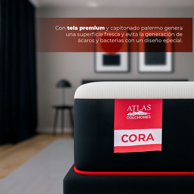 Colchon De Caja Matrimonial Atlas Cora image number null
