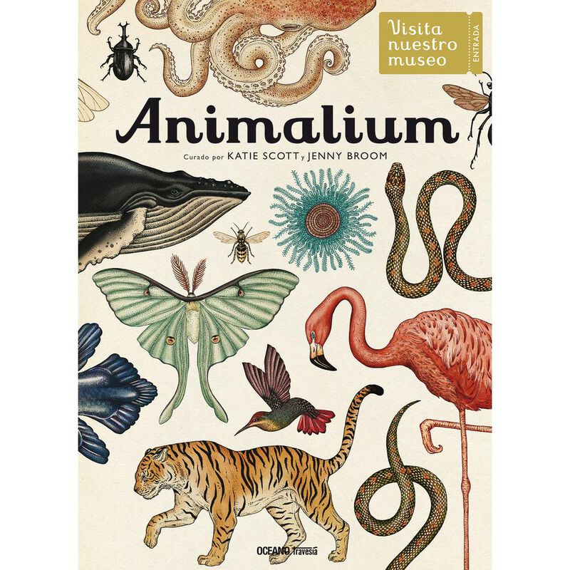 Animalium image number null
