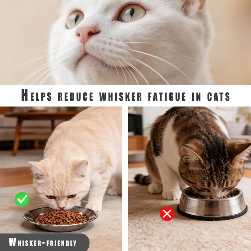 Juego De 4 Cuencos Para Gato Dyxhfff De 16 cm, ... image number null