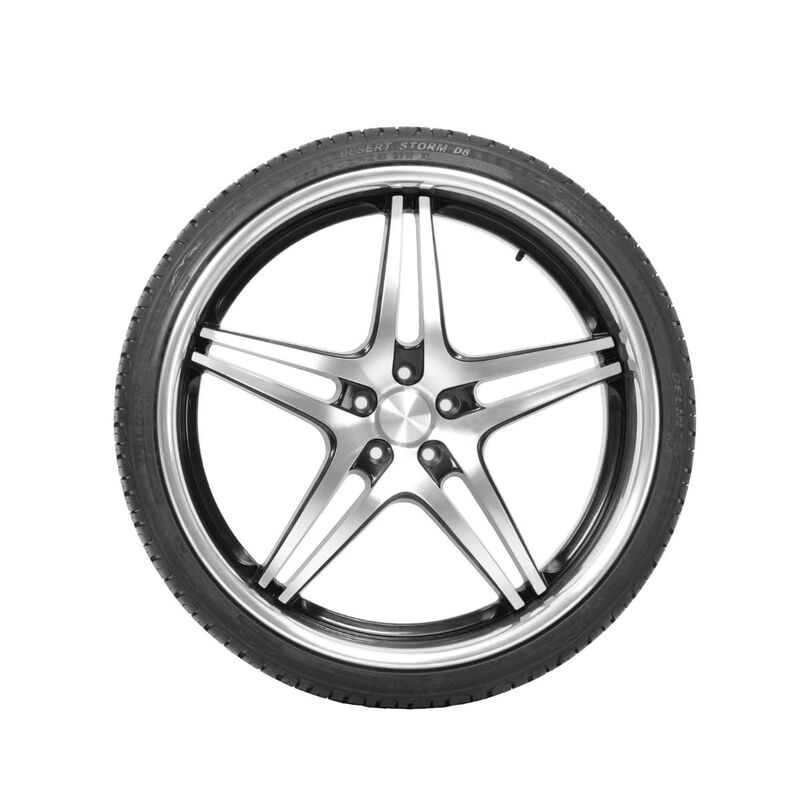 Llanta 245/30R22 95W Delinte DS8 Desert Storm image number null