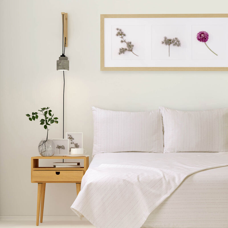 Juego de S&aacute;banas Queen Kent Beige image number null