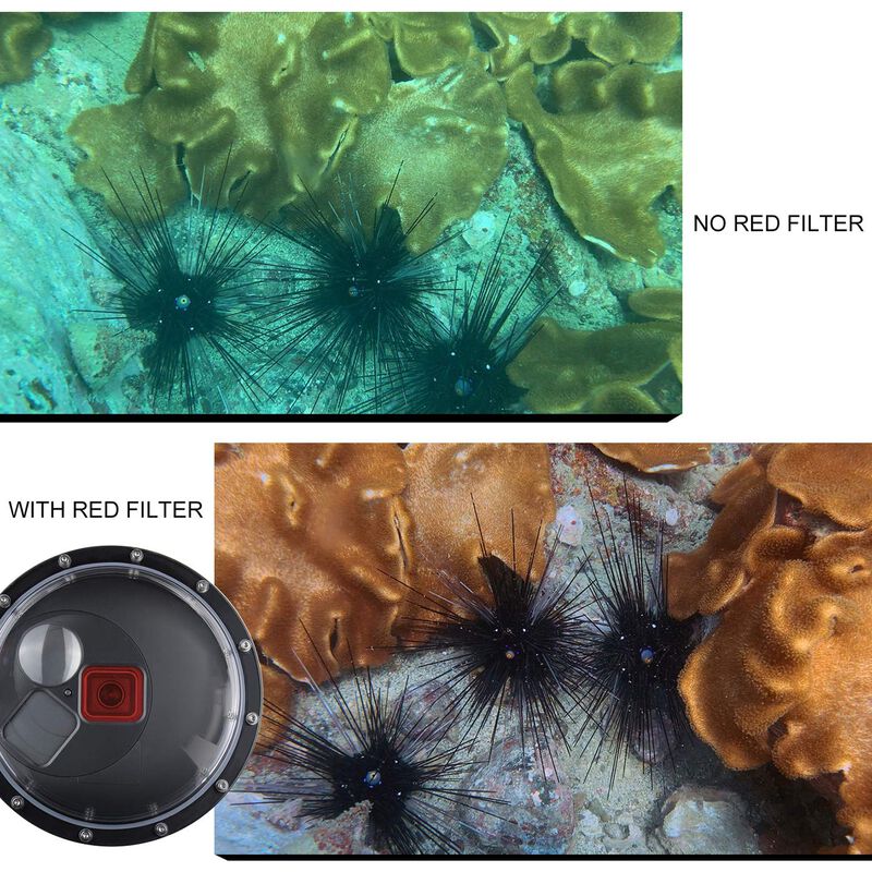 Puerto Domo Para Gopro Hero 8 Black Gepuly Con ... image number null