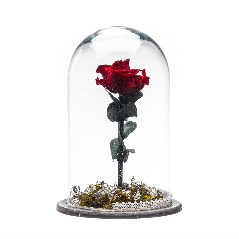 Rosa Eterna Grande image number null