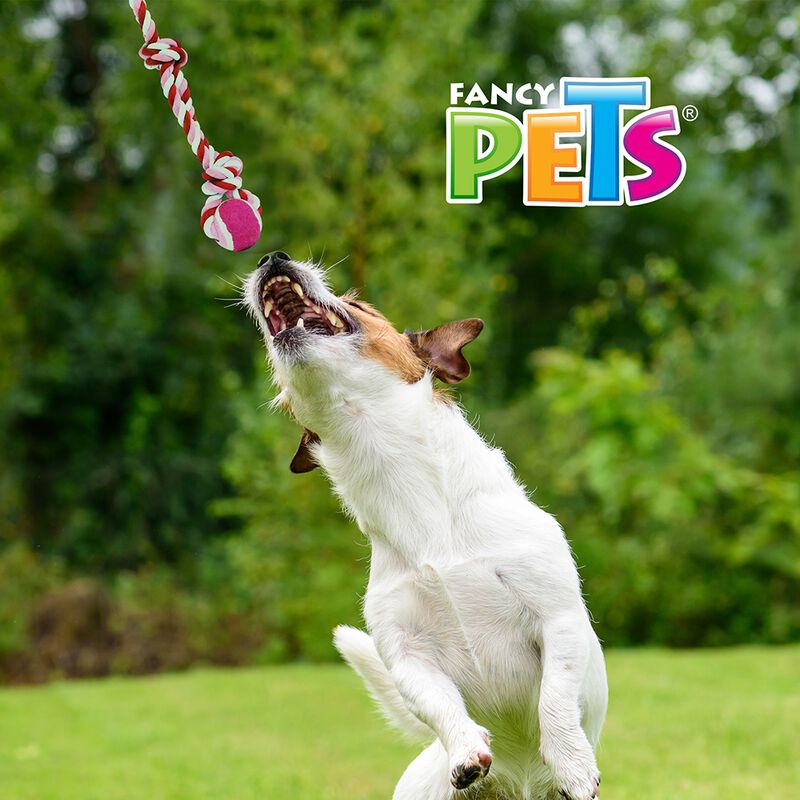 Fancy Pets Juguete Cuerda de Soga con Doble Nud... image number null