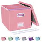 Organizador De Archivos Oterri, Caja De Archivos Port&aacute;til Con Tapa, Color Rosa
