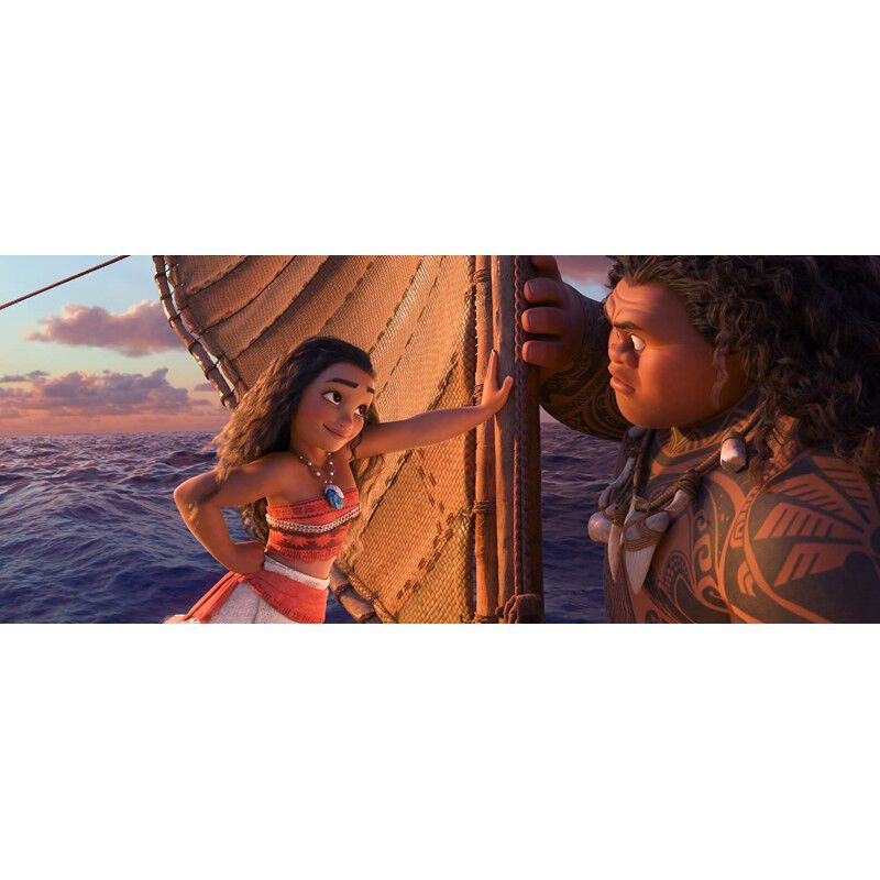 Moana [DVD] (2016) Vaiana image number null