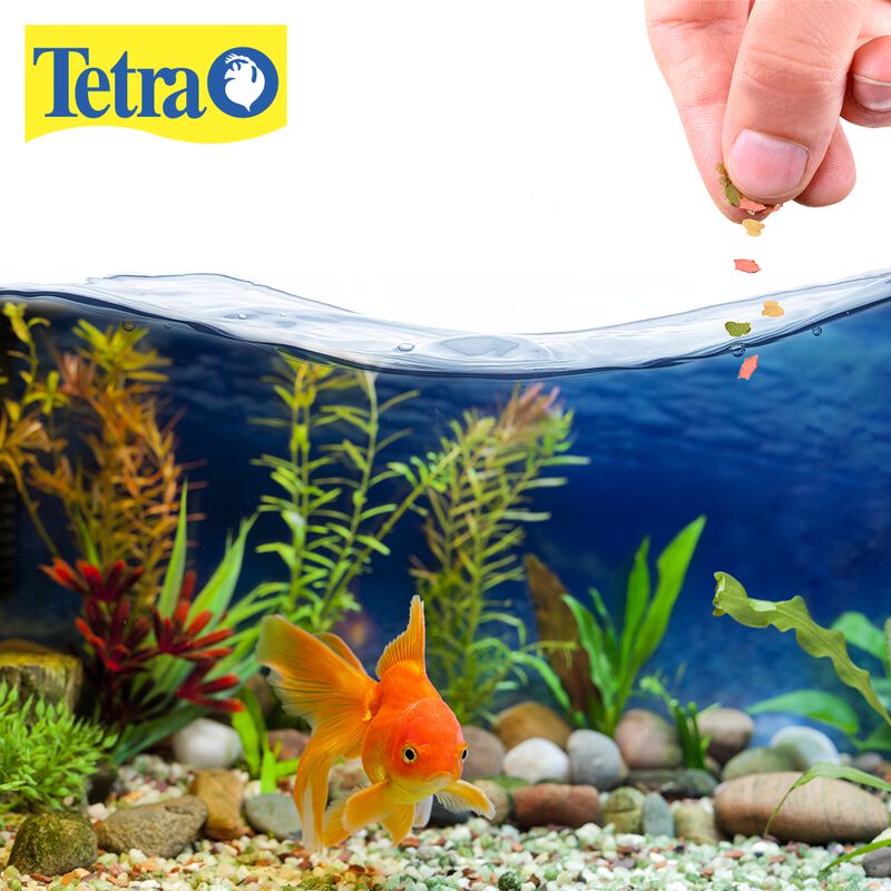 Tetra Tetrafin Goldfish Flakes Alimento Para Pe... image number null