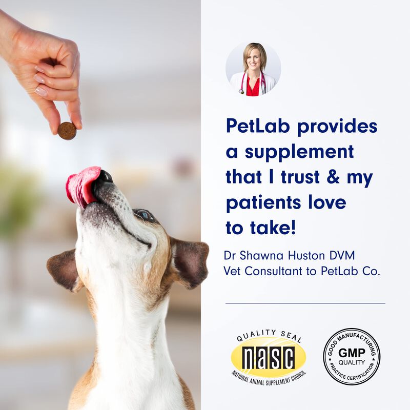 Probi&oacute;ticos Para Perros Petlab Co. Allergy & Im... image number null