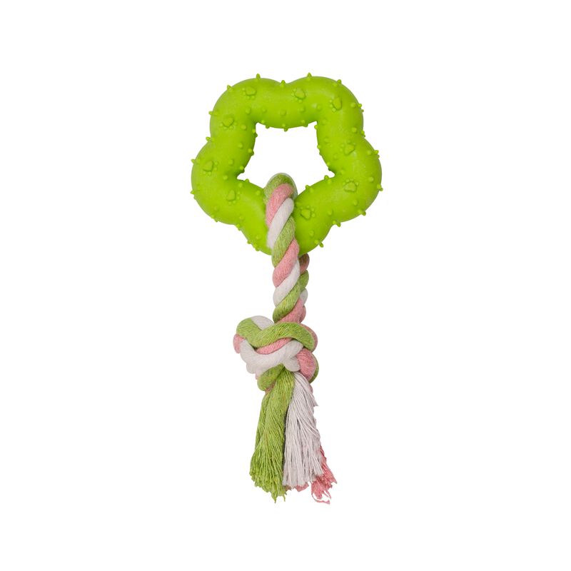 Fancy Pets Juguete para Perro de Caucho Estrell... image number null